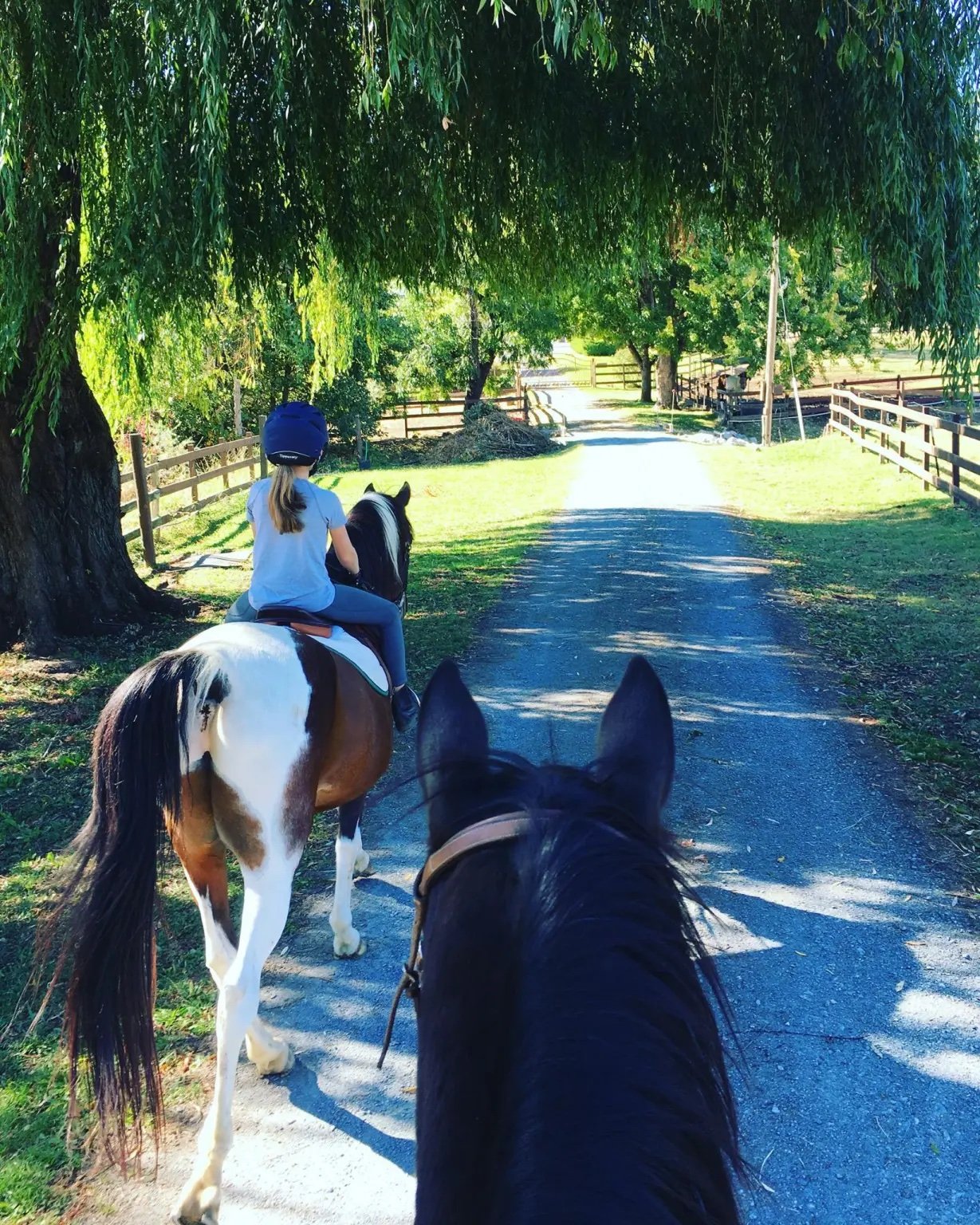 Whirlawind Ranch
