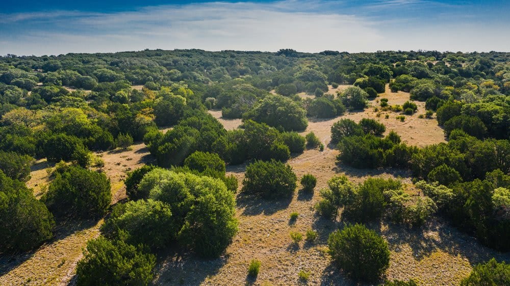 Cherry Springs Ranch