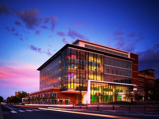 Bee’s Knees: Stuff We Dig!