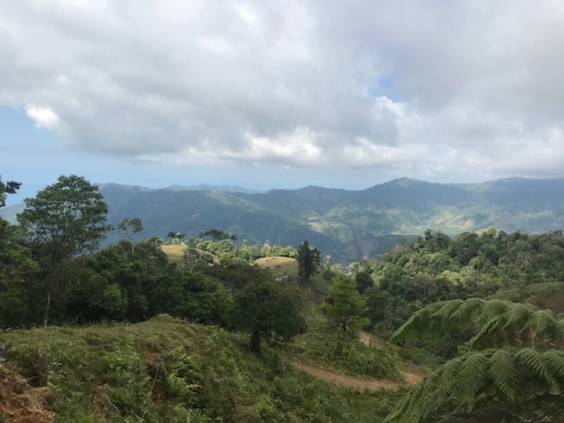 Spring Fed Ocean View Acreage, Uvita, Puntarenas