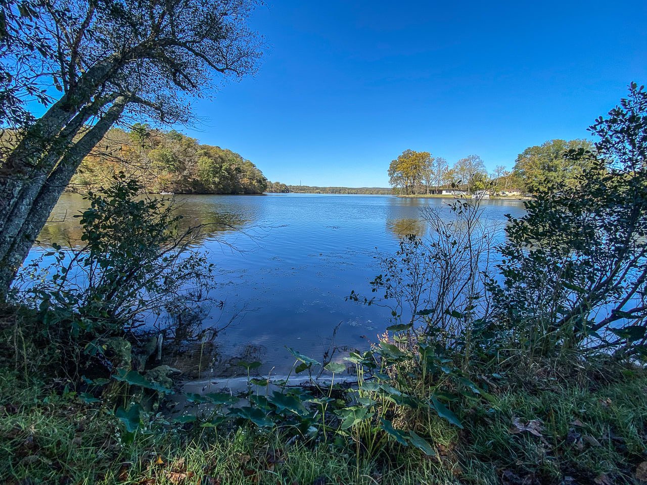 Lake Catherine in Hot Springs AR