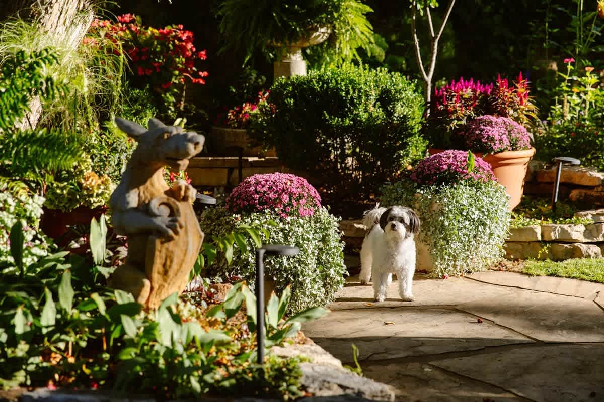 ASK A NESTER: How Do You Bring the Inside Out?