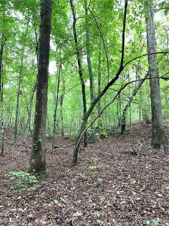 Poplar Springs Road
