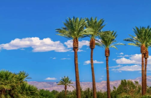 RANCHO MIRAGE REAL ESTATE