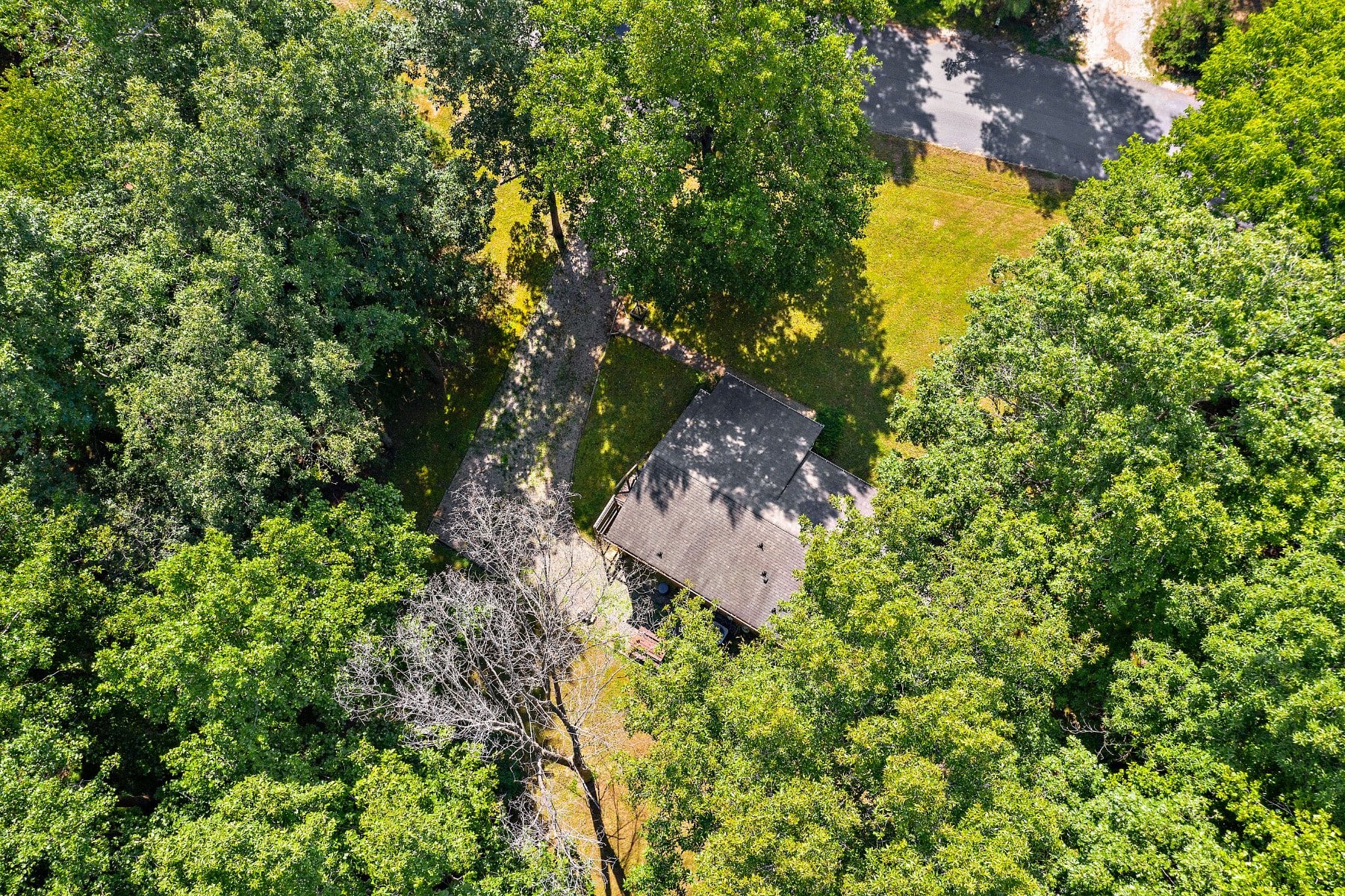 10149 Clearwood Road