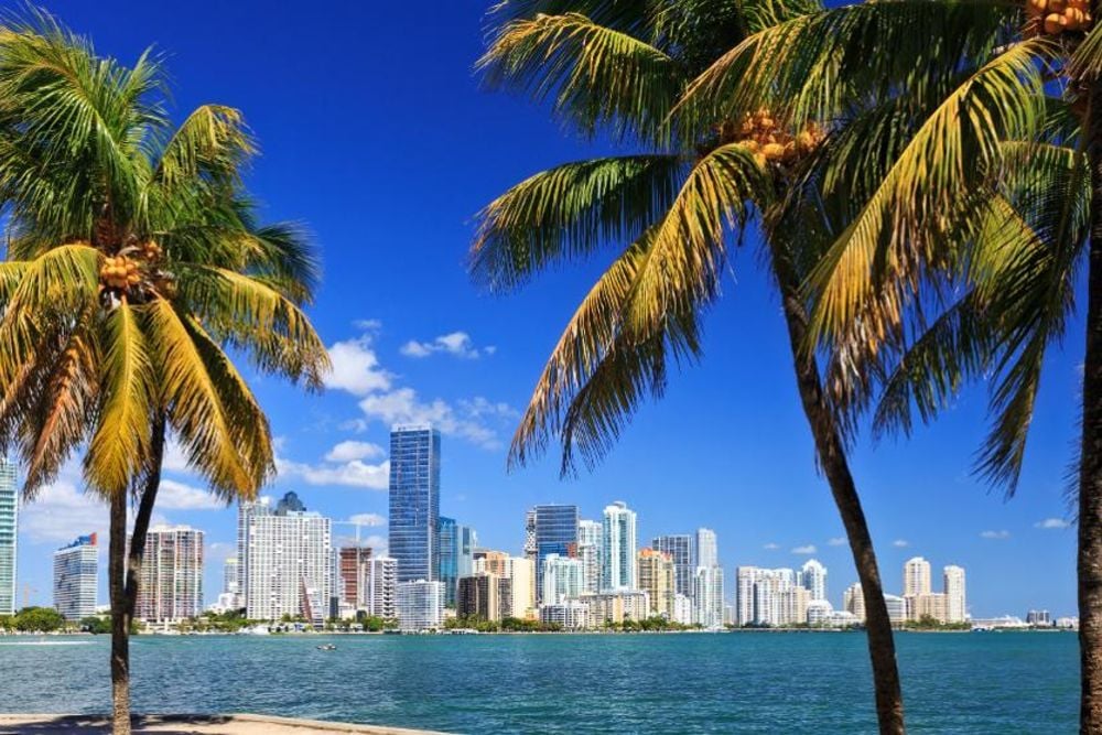 Art Is Fast Becoming Miami’s Must-have Amenity in Luxury Real Estate