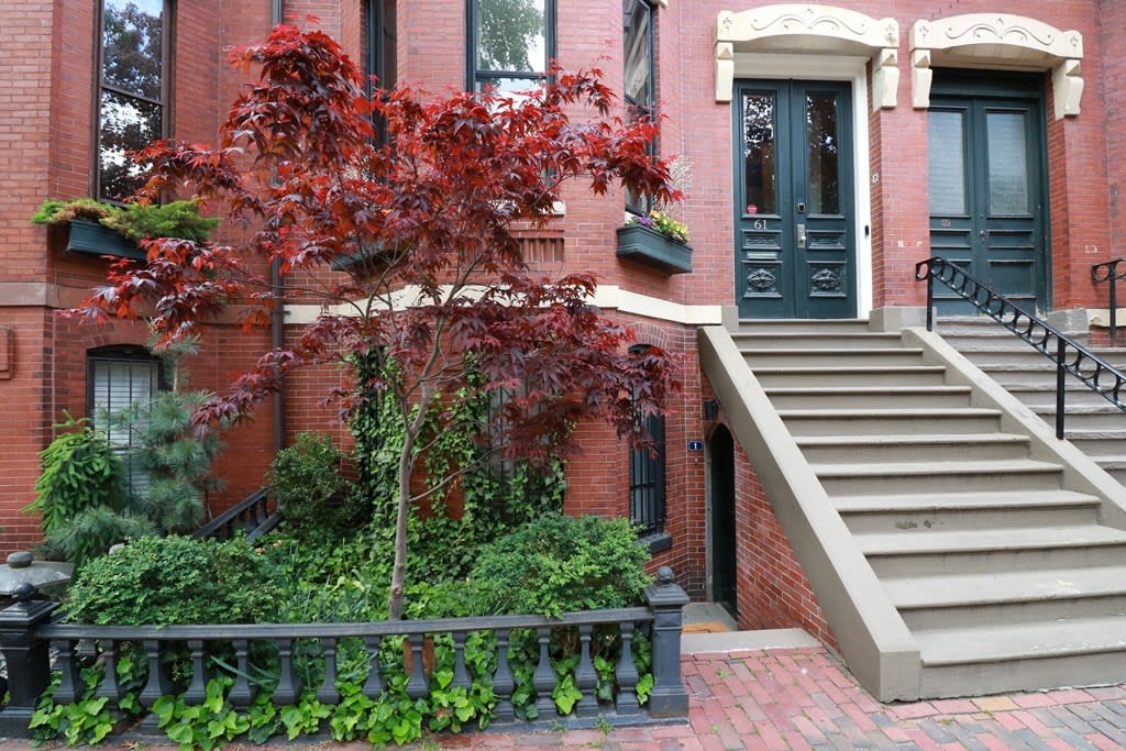61 Chandler St, #1