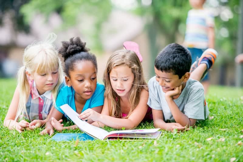 Discover the Magic of Books at the Children's Festival of Reading!