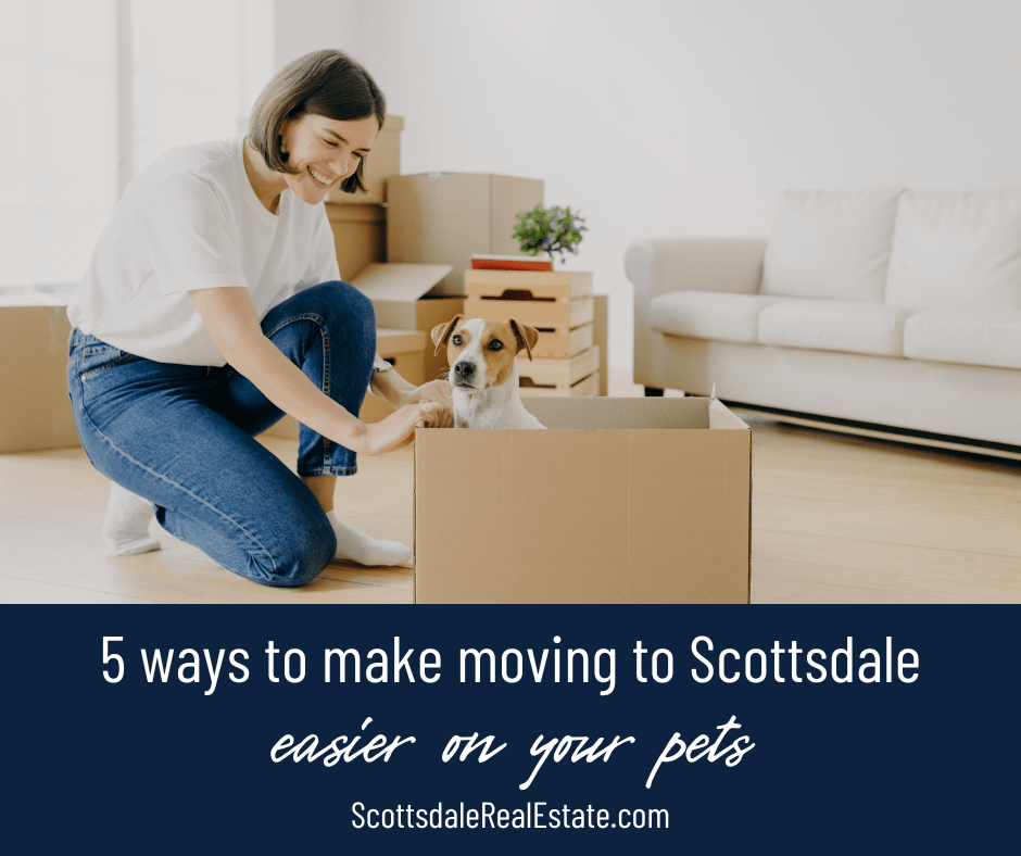 5 Ways to Make Moving to Scottsdale Easier on Your Dog, Cat or Other Pet