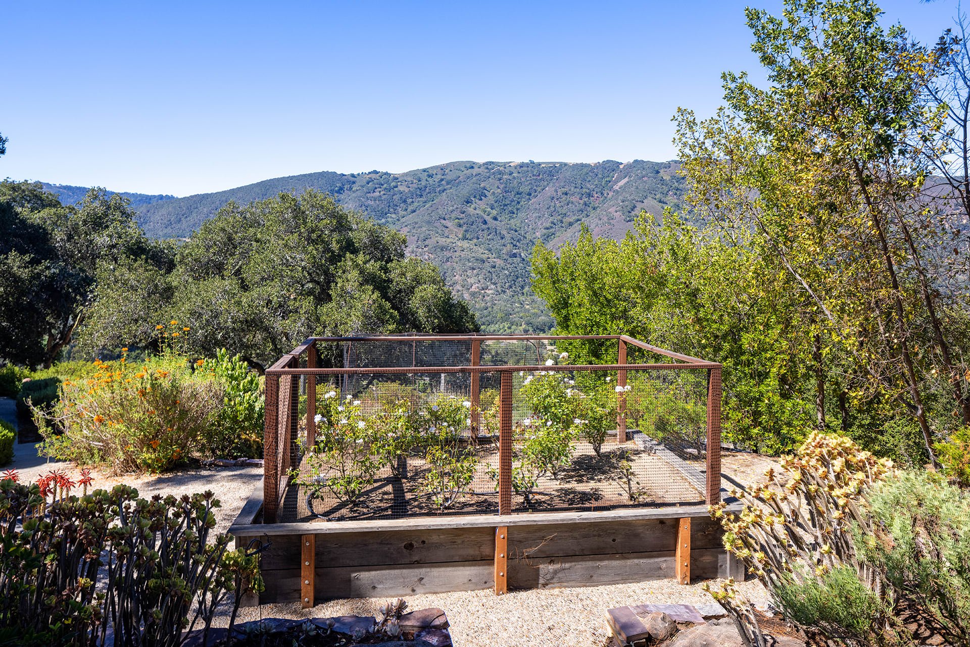 Carmel Valley Oasis - 49 Encina Drive