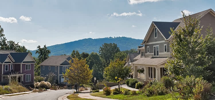 2015 Nest Annual Report – Charlottesville