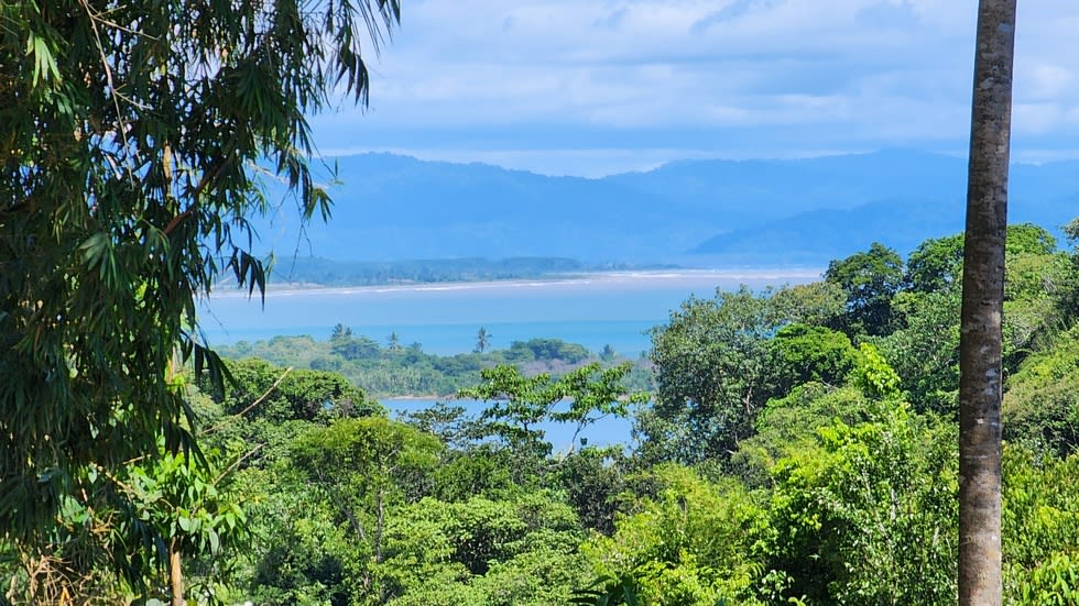 Home with White Water Views and Easy Access in Ojochal