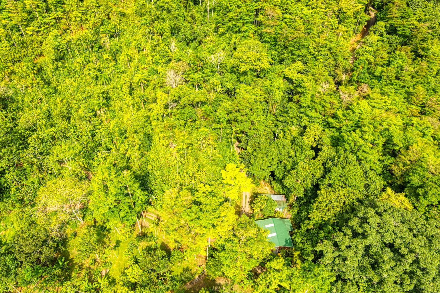 Exceptional Retreat Center on 62 Acre in Tinamastes