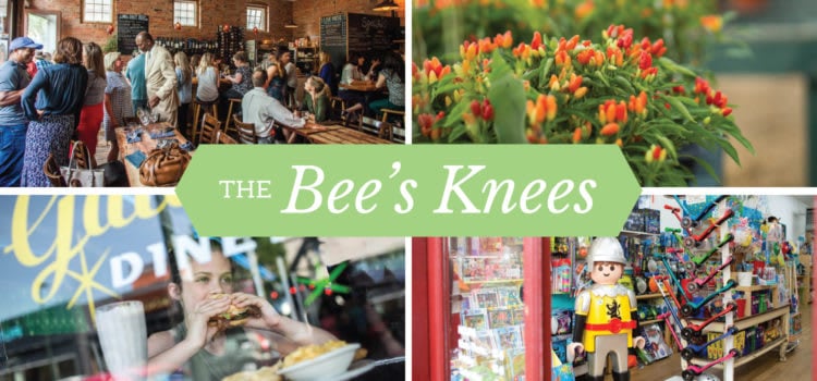 The Bee’s Knees – Part 2