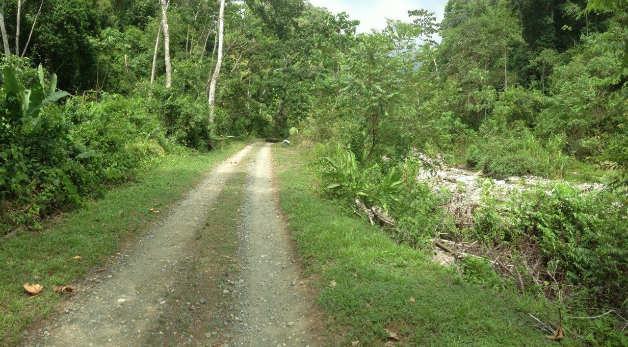Pacific Frontage Rainforest Estate, Osa, Puntarenas