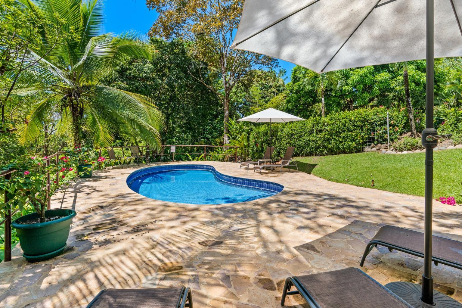 6 Beautiful Tree House Villas and Owners Home on Calle Toucan