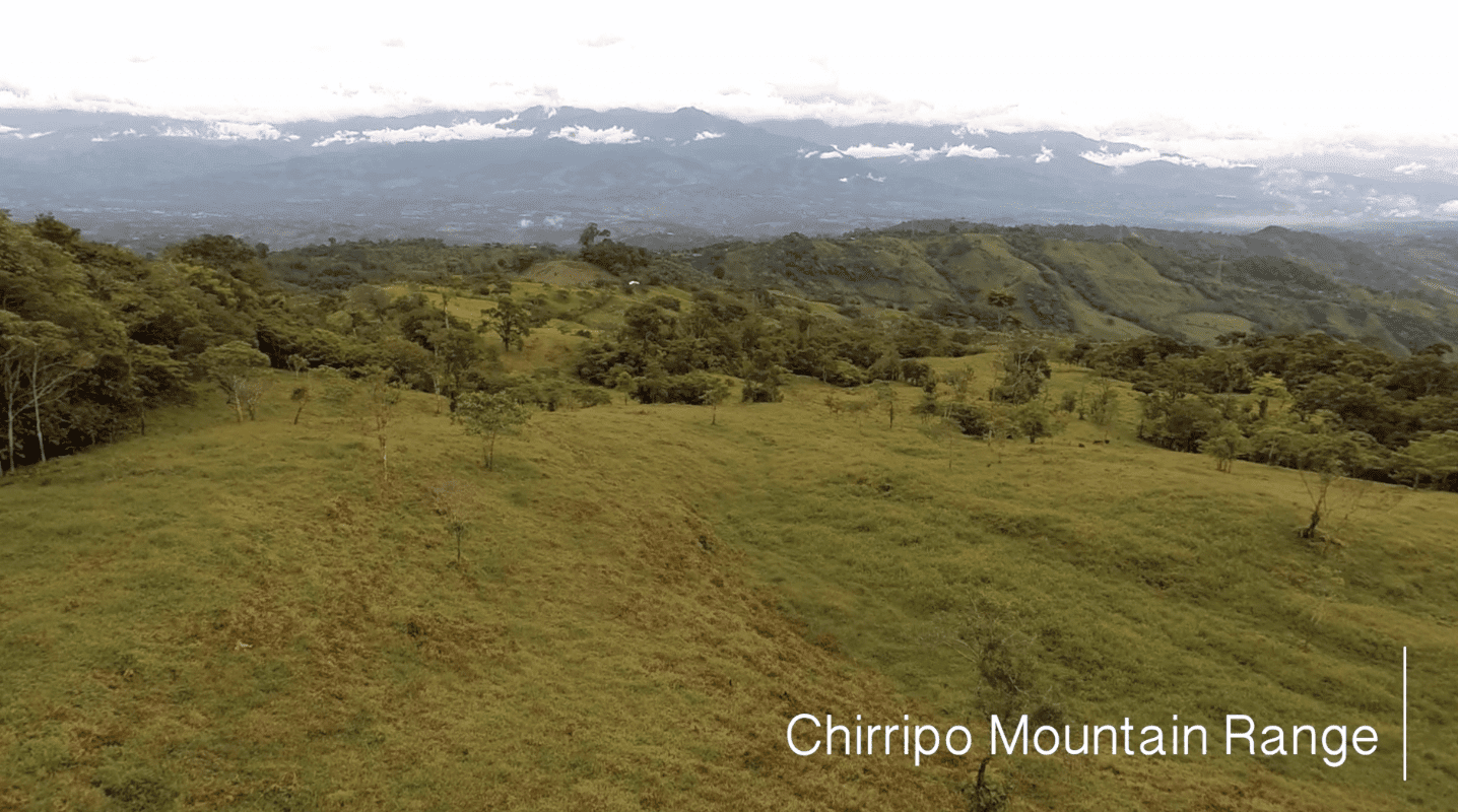 79 ACRES – Amazing Farm On Ridge Top With Whales Tail Ocean Views And 800 Exotic Tropical Fruit Trees!