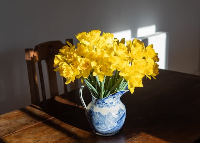 A vase of daffodils that will refresh your California home this spring.