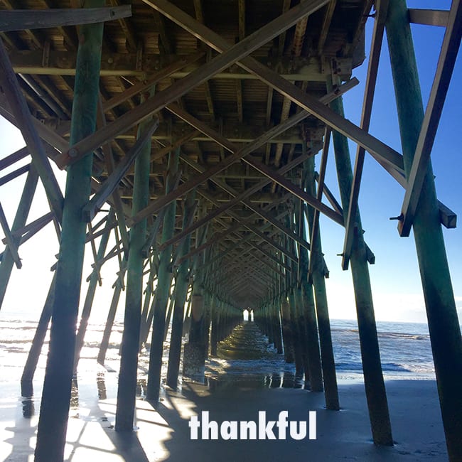 For What Are You Thankful?