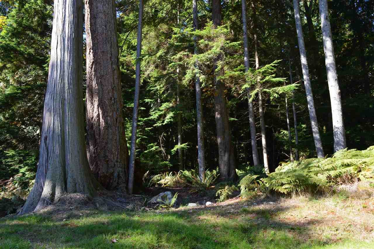 LOT 88 W Bay Rd