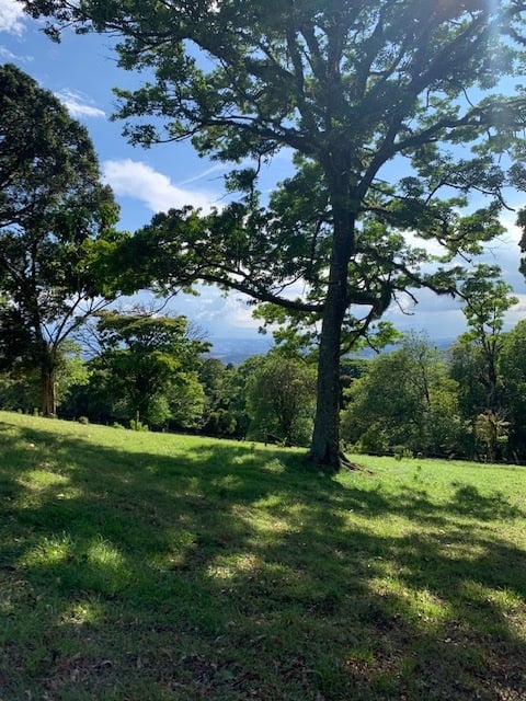 Vast Mountain Farm Acreage, Heredia