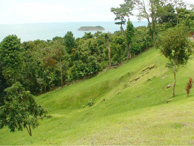 Manuel Antonio Vistas