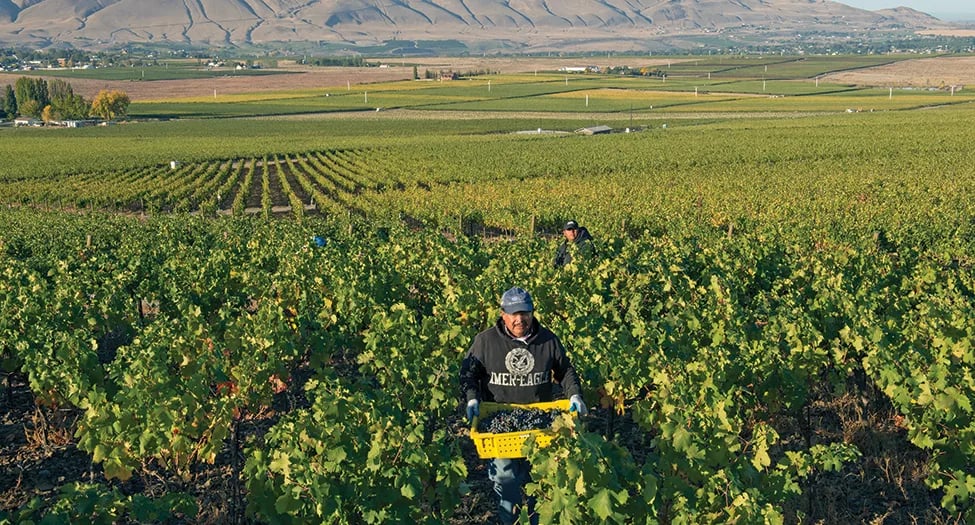 Farm labor contractor faces fines for worker violations