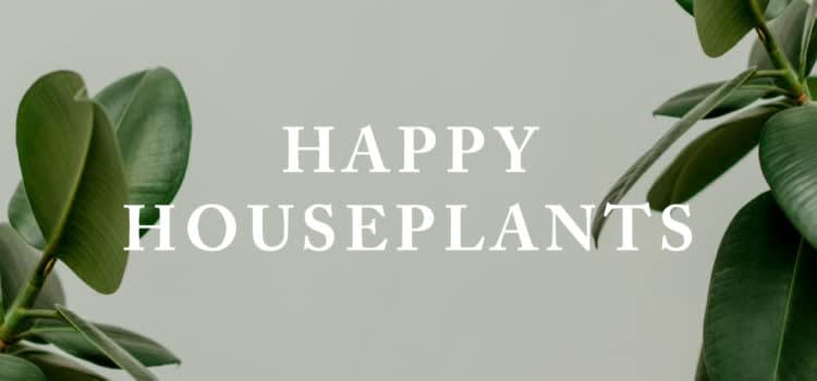 Happy Houseplants