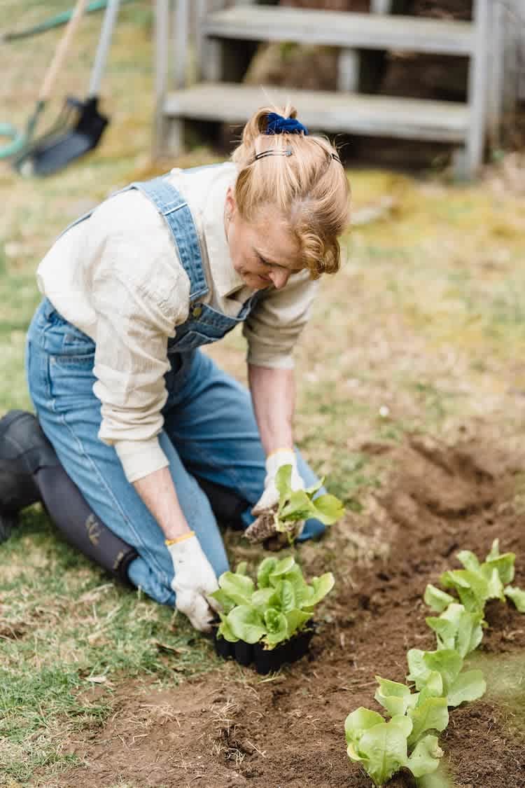 Make Your Yard a Place for Good with Environmentally Friendly Landscaping