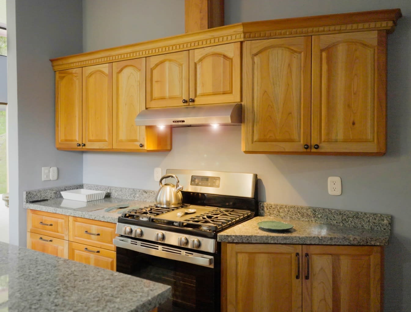 Matapalo Two-Unit Home Property