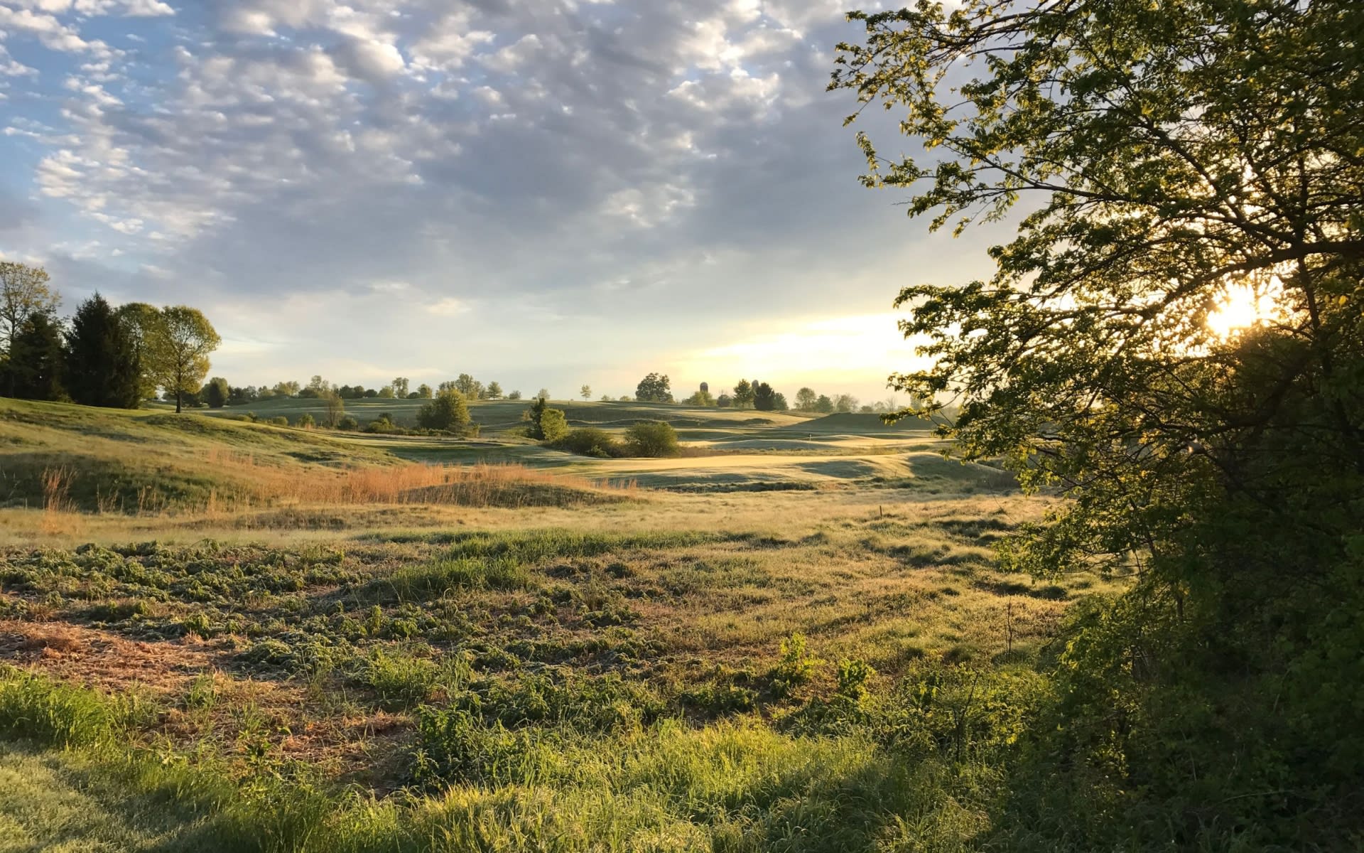 Luxury Okemos living and homes in Okemos MI