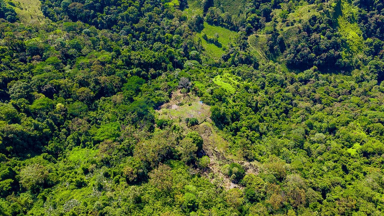 Whale Tail Views Luxury Waterfall Farm