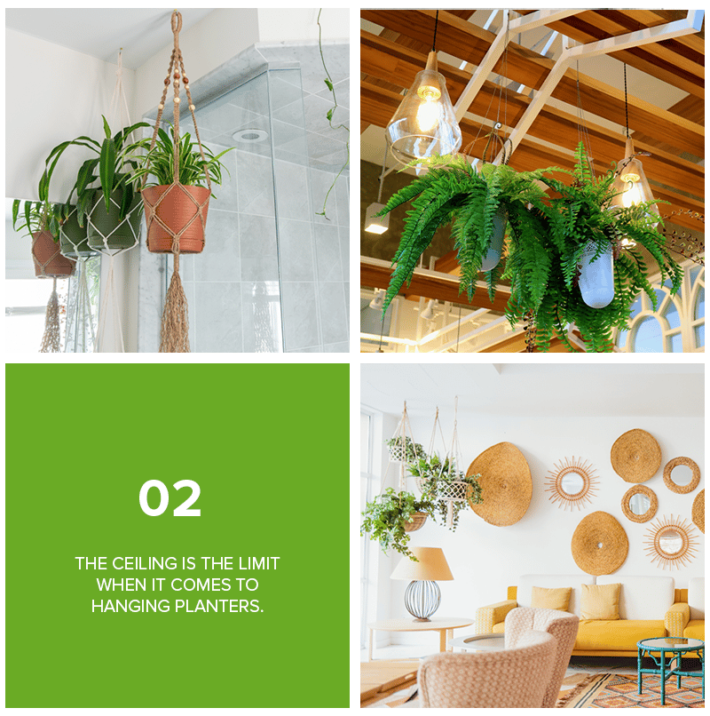 Tip 02: The ceiling is the limit when it comes to hanging planters, with examples in a bathroom and living room.
