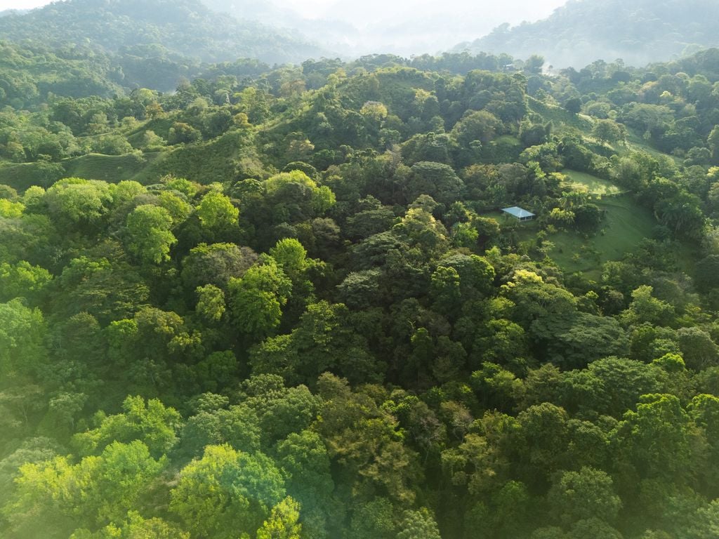 Finca Santa Clara – Ocean View Estate
