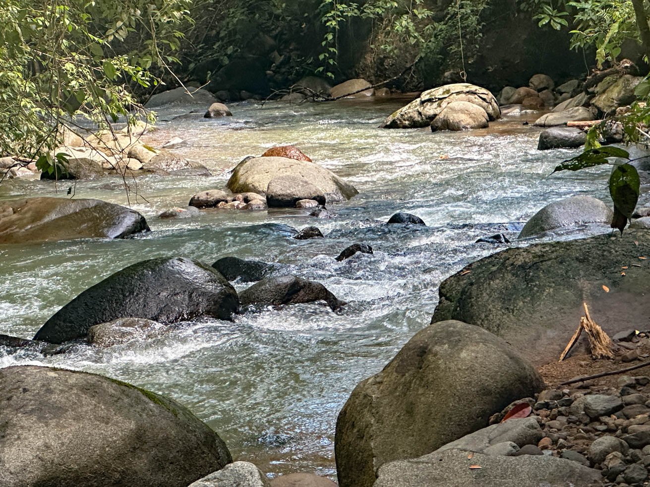 Rainforest Home with River, Jungle Trails & Pool in Ojochal