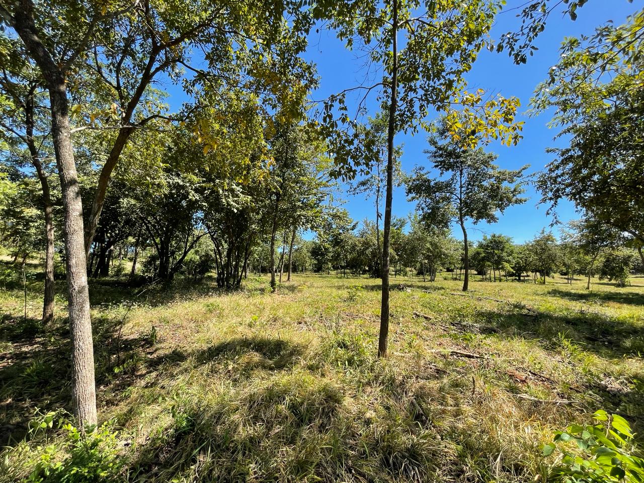 Beautiful Estate Lots Strategically Located in Villareal – Tamarindo – Guanacaste