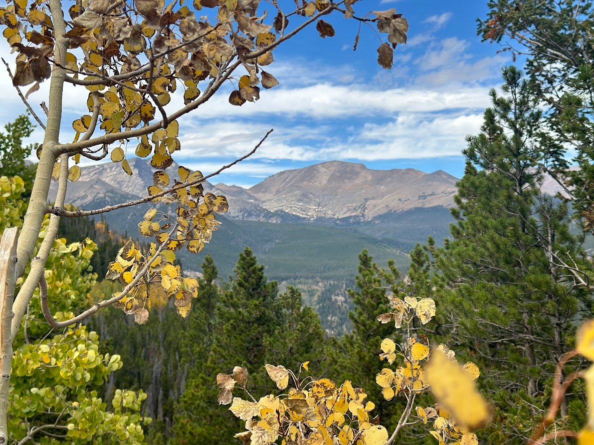 Where the Road Meets the Sky: Driving Trail Ridge Road