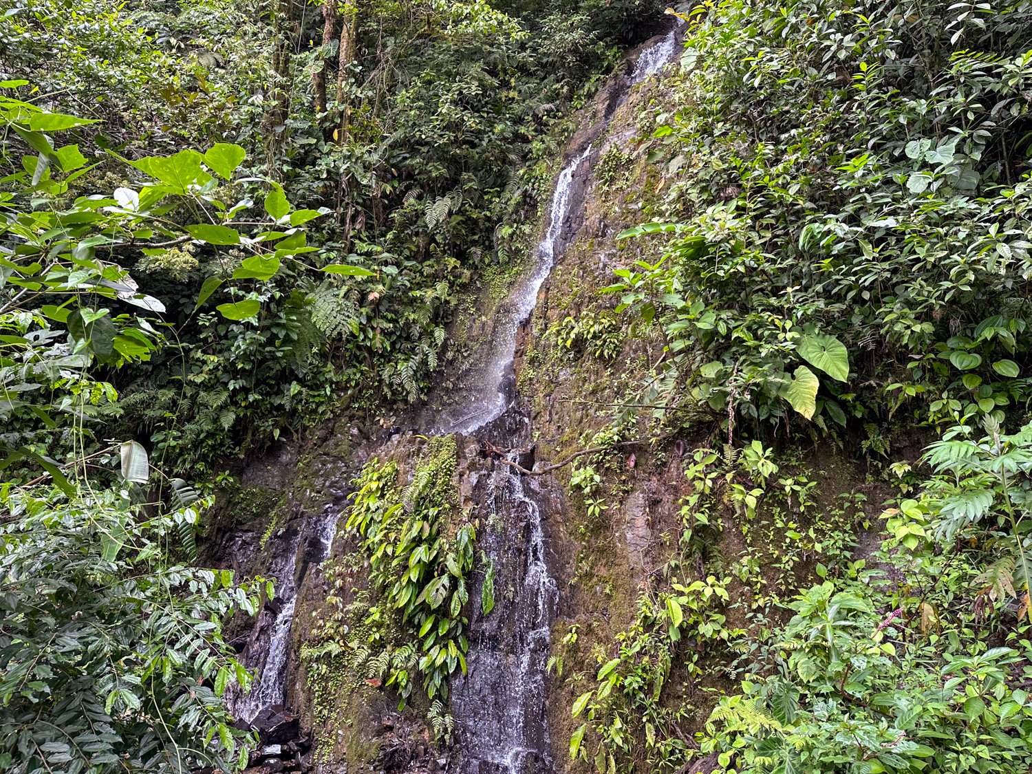 REDUCED! 77-Acre Mountain Paradise with Waterfalls & Epic Views in Santa Elena 