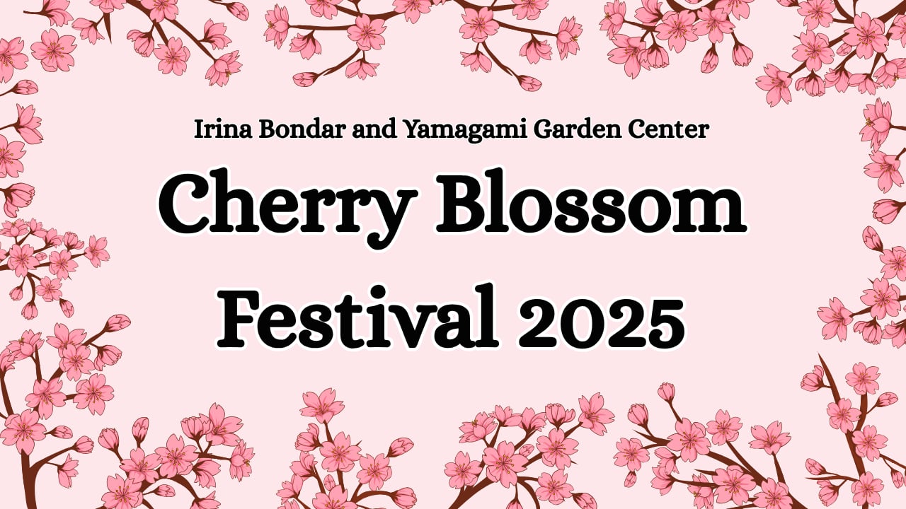 Cherry Blossom Festival 2025