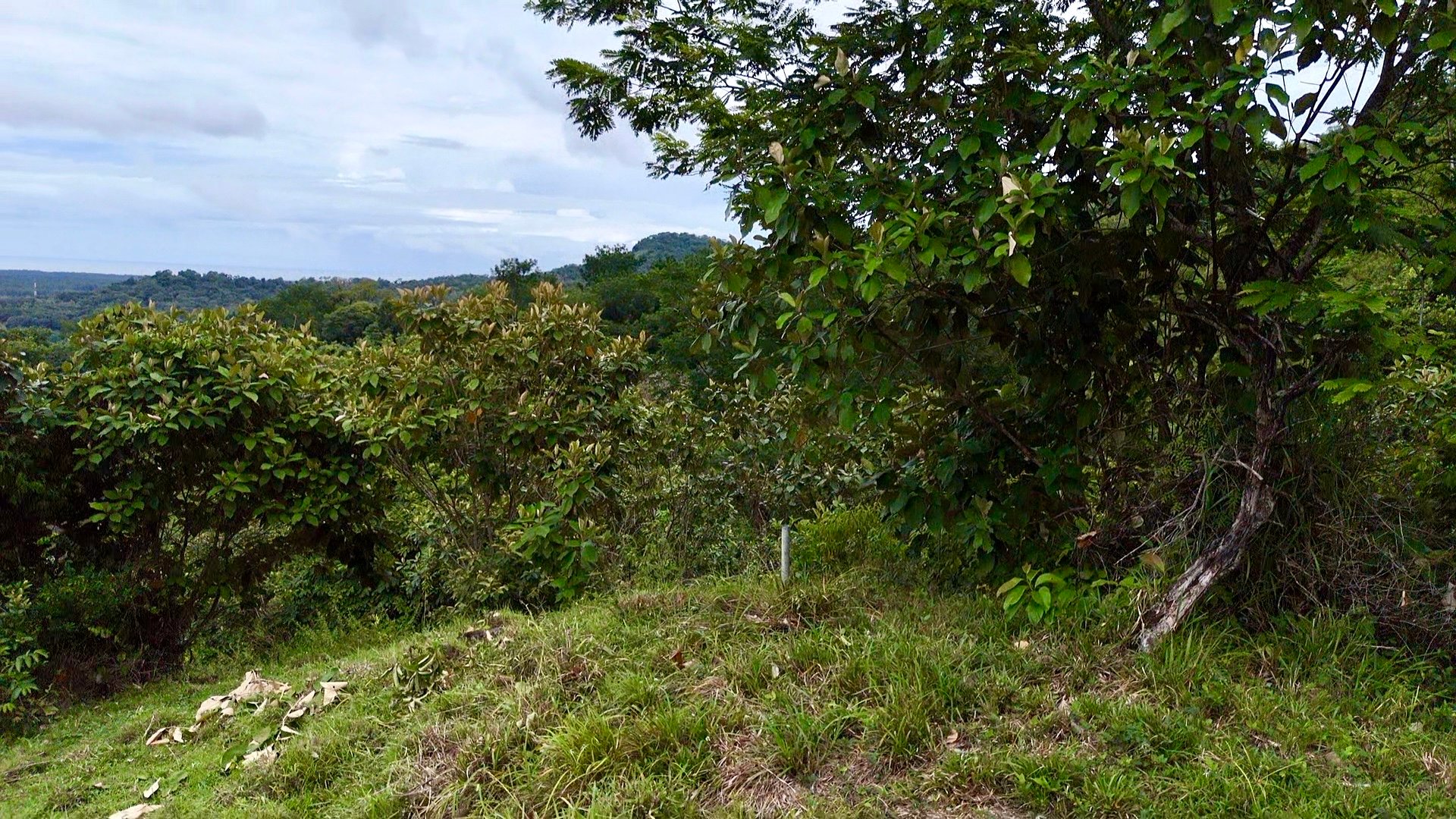 Ocean View Sanctuary in San Buenas – 4.94 Acres of Pastures & Easy Accessaccess