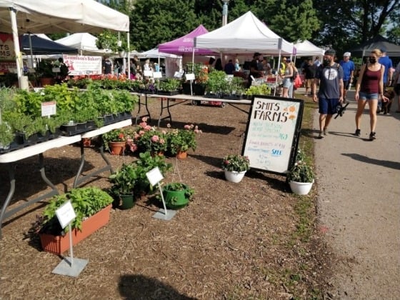 Green City Market - Lincoln Park