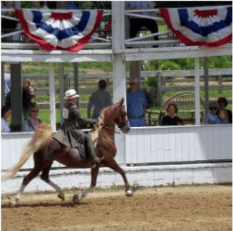 A rider on a brown horse passes a spectator stand decorated with red, white, and blue bunting.