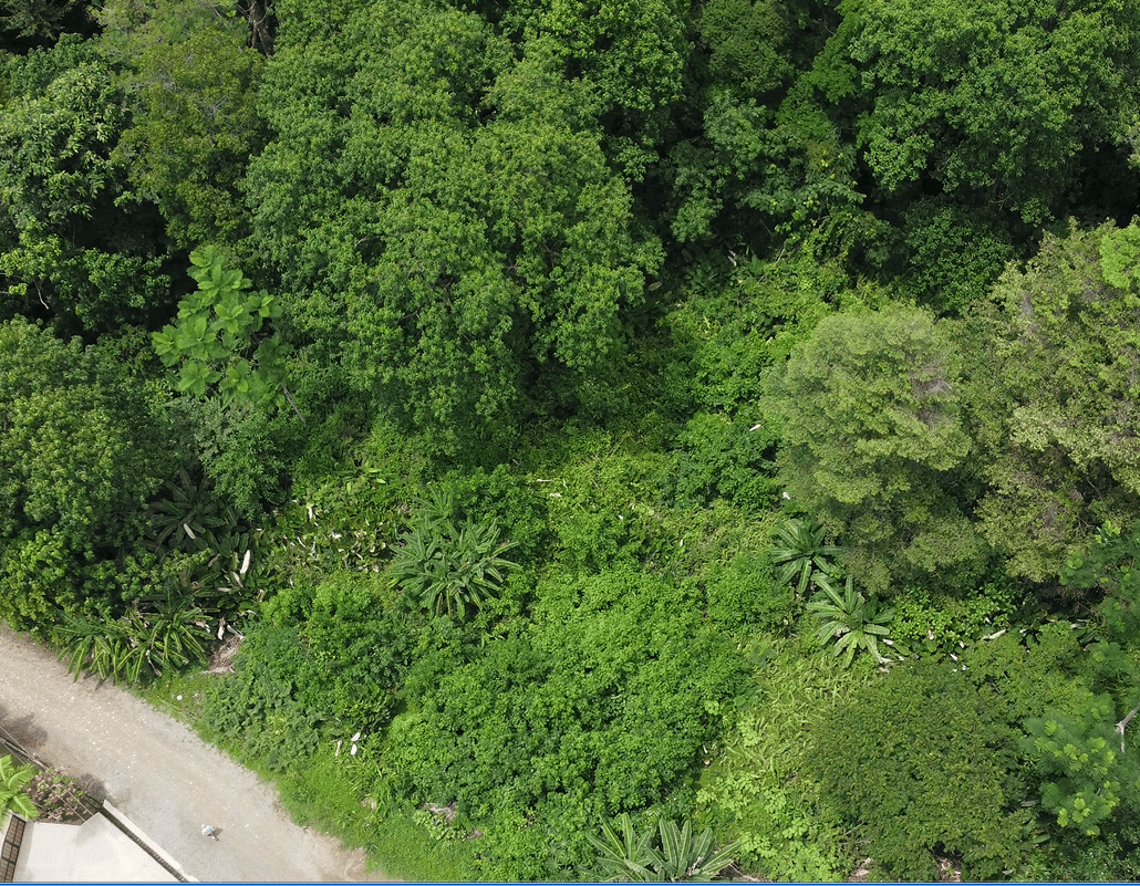 Ojochal - 1 Acre Ready To Build Jungle Lot, Ocean Breezes in Wildlife Corridore