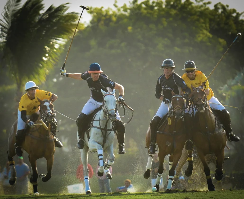 Palm Beach Polo Season