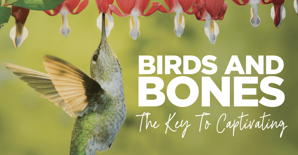 Birds and Bones…the Key to Captivating