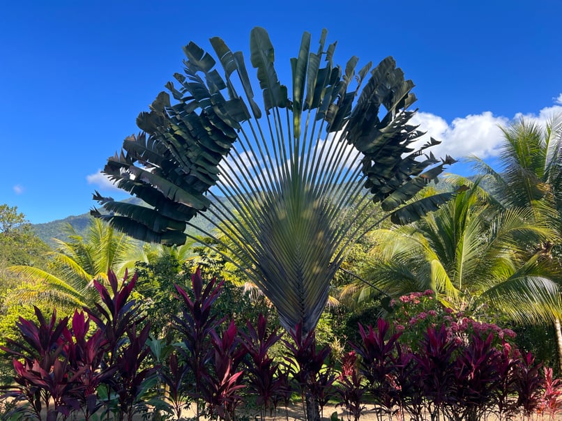 Peaceful 2-Bedroom Home in a Lush Garden in Ojochal