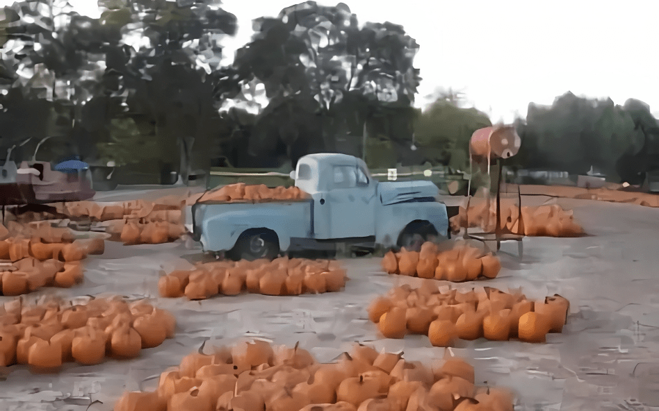 GUIDE TO LOCAL PUMPKIN PATCHES: DAVIS, DIXON, WOODLAND, SACRAMENTO & BEYOND!
