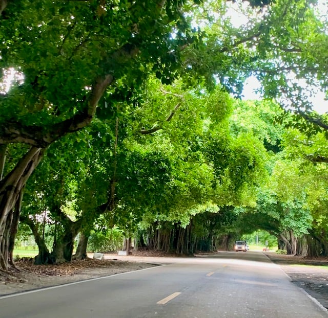 7120 Old Cutler Road | Coral Gables