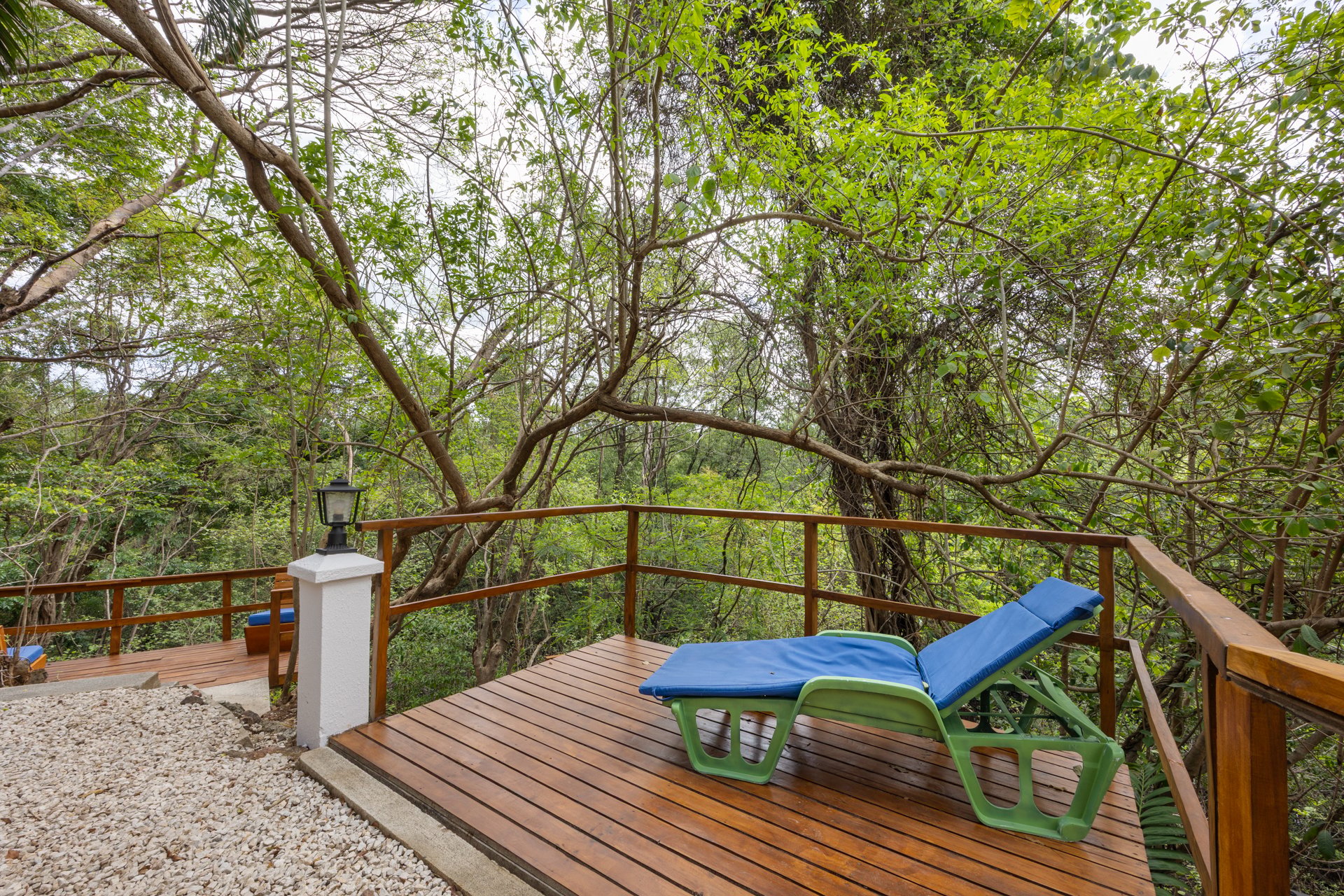 Casa Mimosa | Versatile Luxury Retreat Just 3 Minutes from Flamingo Beach