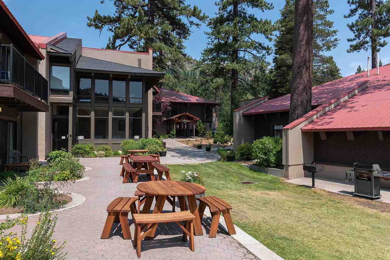 15775 Donner Pass Rd, #223